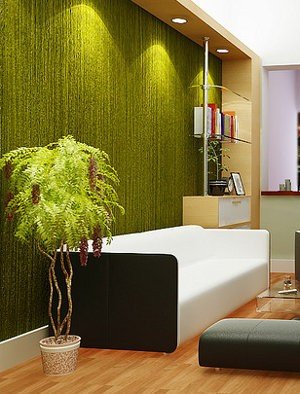 Departamento joven verde