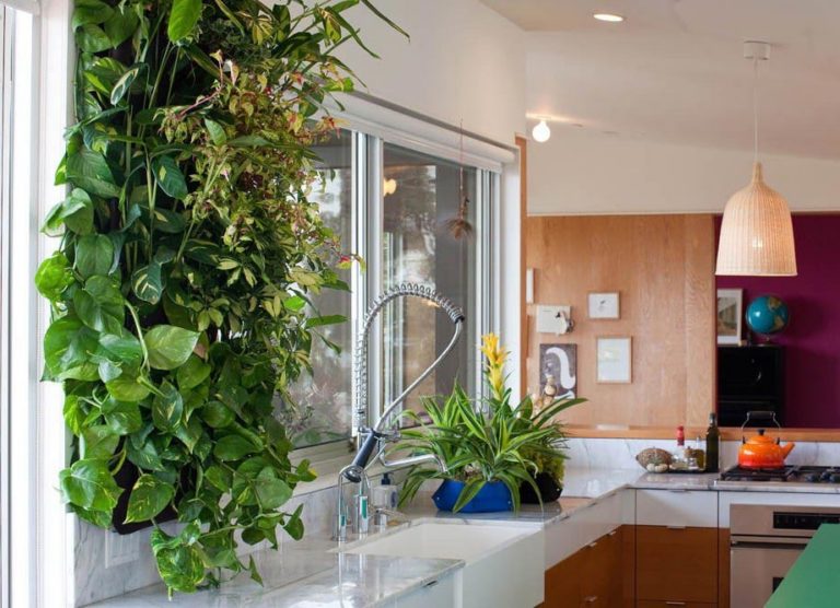 Jardines verticales, una opción verde para exteriores e interiores