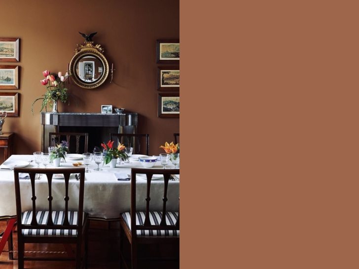 Gama de marrones para pintar las paredes - Casa y Color