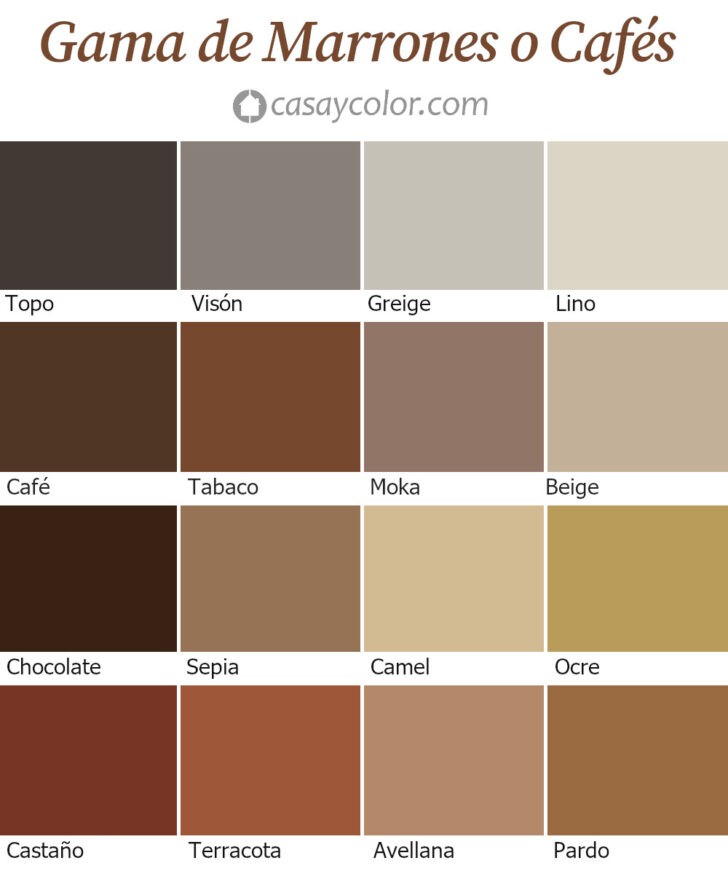 Paleta de colores marrones comunes para pintar paredes