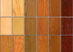 El tipo y color de la madera en interiores
