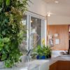 Jardines verticales, una opción verde para exteriores e interiores