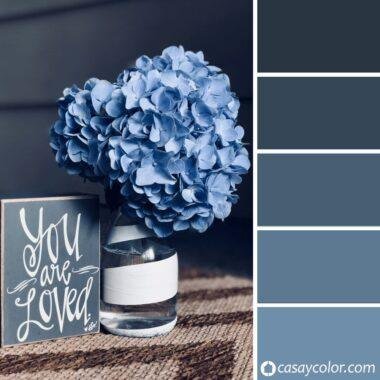 Cuál es el color Azul Acero o azul agrisado