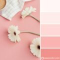 Color rosa pastel: características y cómo usarlo en interiores - Casa y ...