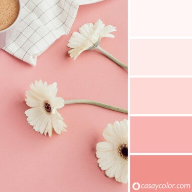 Rosa Pastel en Interiores, un color cálido y delicado para tus paredes