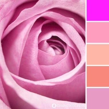 Todos los tonos de Rosado: guía con nombres y ejemplos para tu hogar