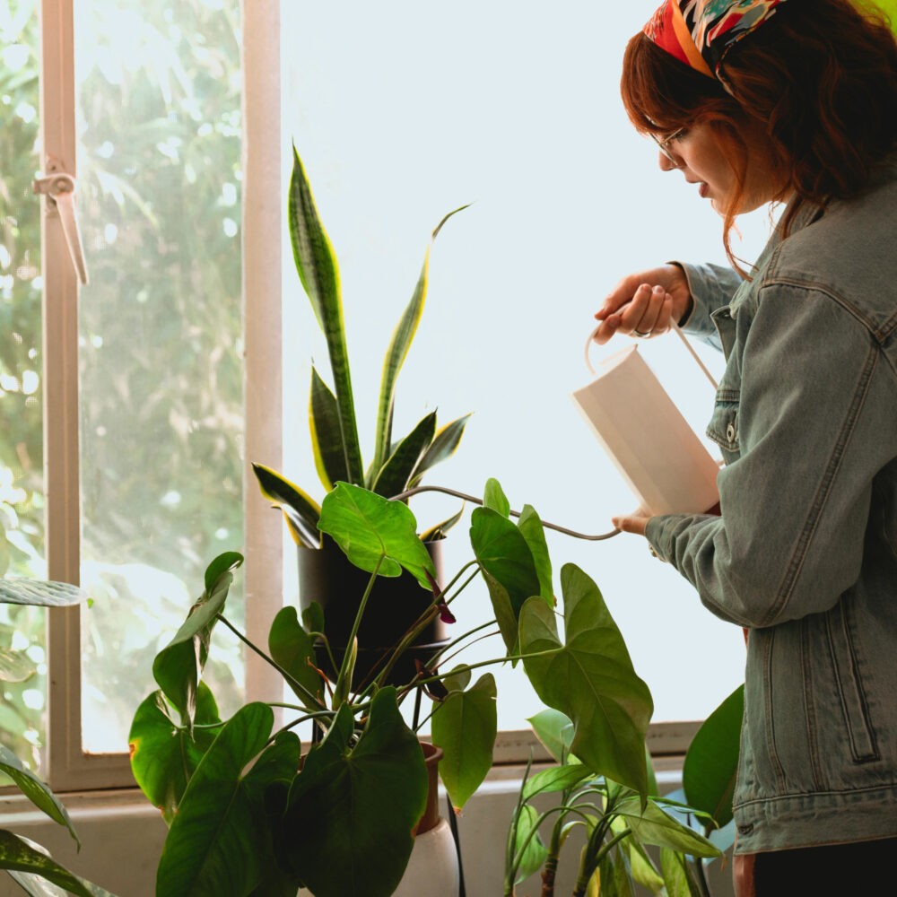 persona regando plantas