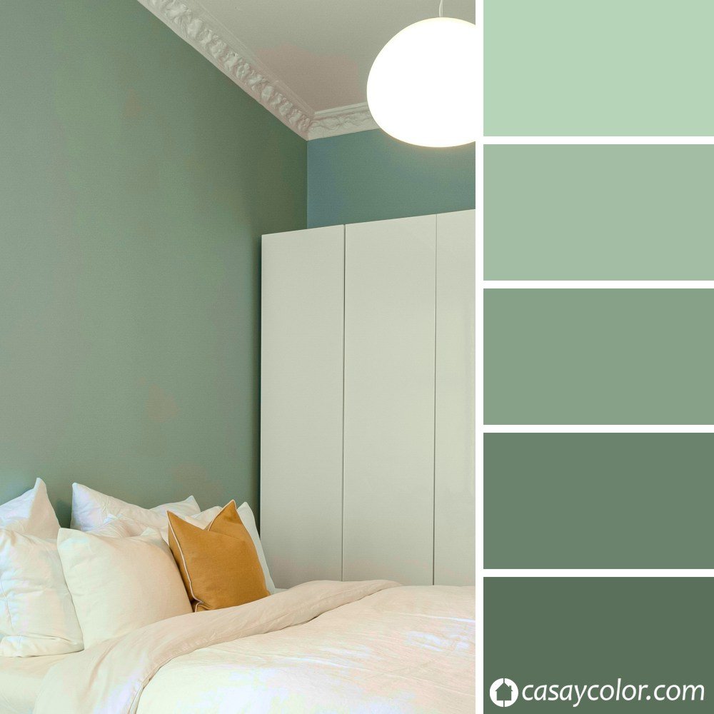 Color de pintura verde salvia en la pared