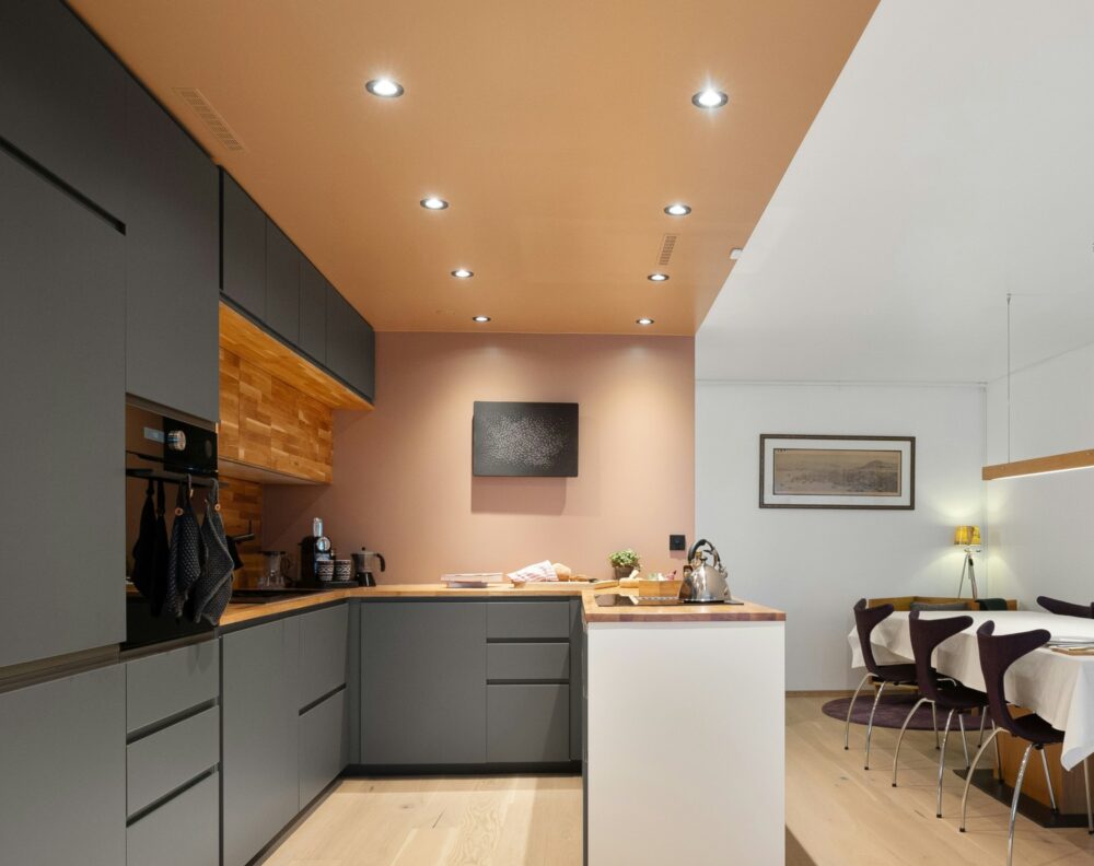 Terracota claro en pared y techo de una cocina