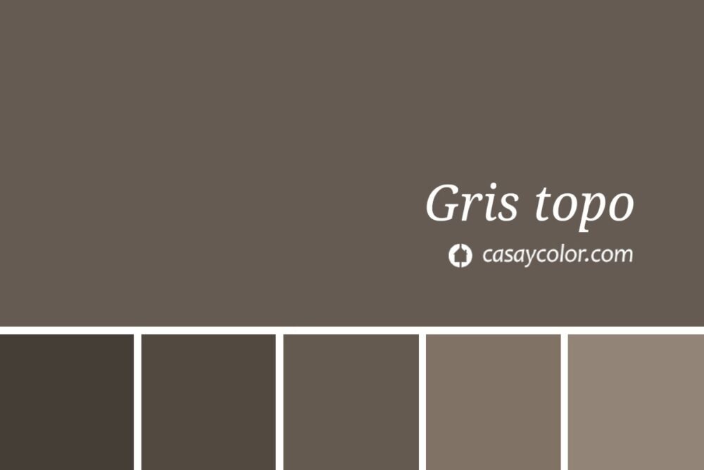 Muestra ejemplo de color gris topo